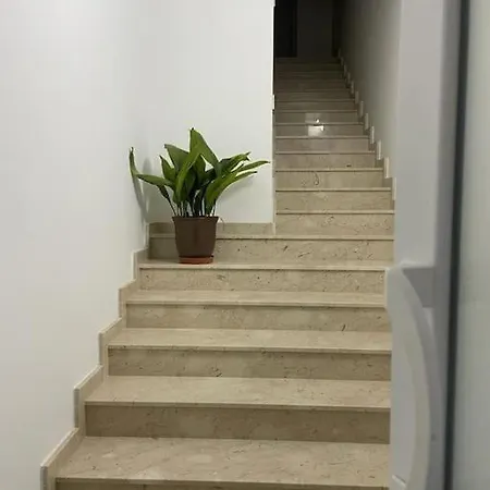 Sunnyside Penthouse Apartment *